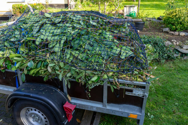 Best Shed Removal  in Fort Leonard Wood, MO